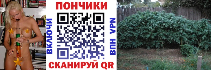 Все наркотики Ивангород Псилоцибиновые грибы  Альфа ПВП  МЕФ  Гашиш 