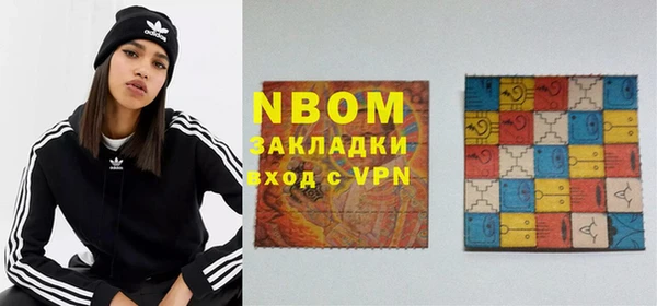 стаф Новозыбков