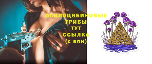тгк Нефтекумск