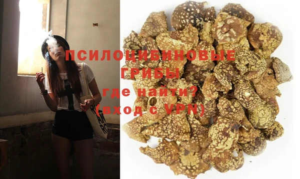 синтетический гашиш Новодвинск
