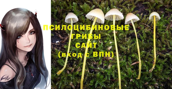 синтетический гашиш Нефтегорск
