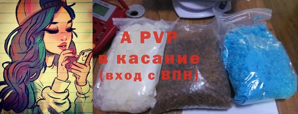 стаф Новозыбков