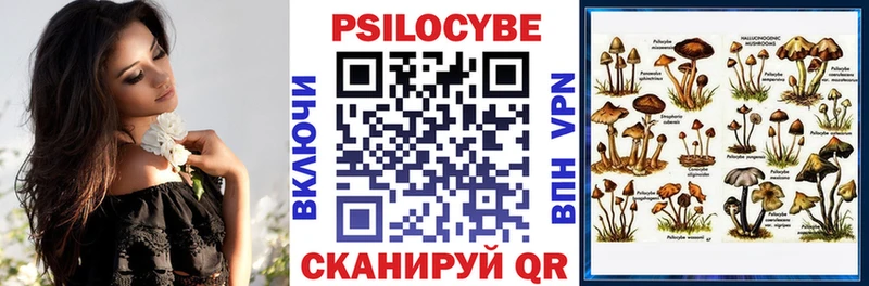 Псилоцибиновые грибы прущие грибы  Ивангород 